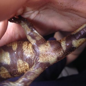 photo 2 1