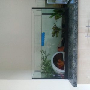 New larger tank