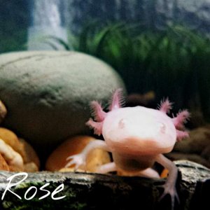 PicsArt 1403806544980