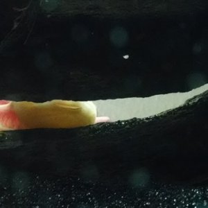 I see you smiling Eos =)