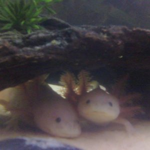 They look like they know I'm taking pictures.