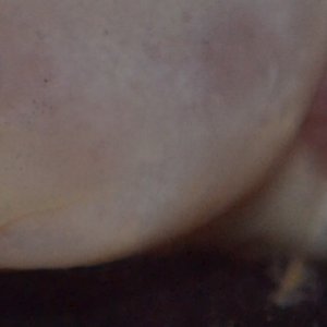 Just look at that little smile..