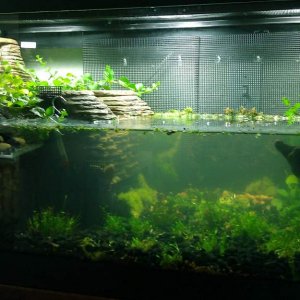 this one is when the water was still cycling