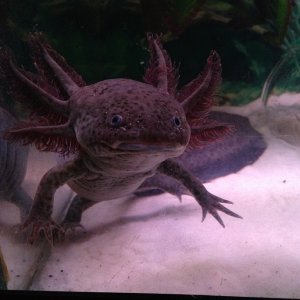 My favorite picture of him.