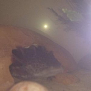 DSC 0510
