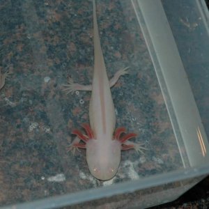 DSC 0464