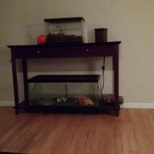 Tank Size