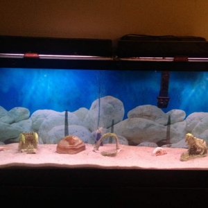 Olivia's big house!