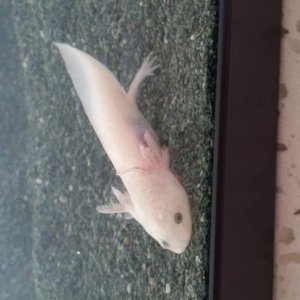 I'm getting big!