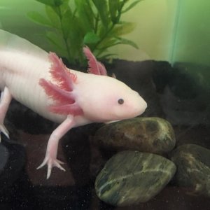 <3