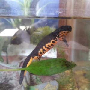 Enjoying his new plant and deep water.
