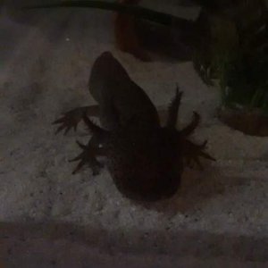 IMG 20150319 193318577