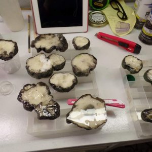 Silicone sticks best to glossy surfaces, so make sure the backs of the rocks are glossy, especially if they are going to be under water.