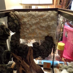 I wanted both sides where no running water would be touching.  I wanted it covered in Coco coir, so I laid down a bumpy mess of Great stuff foam.  Bef