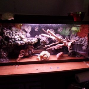 Showing full view after adding coco coir