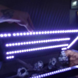 working on the lighting...  I used LED lighting.  Im going to have to add some red colors to even out how blue the white LEDs are.  Don't worry, with 
