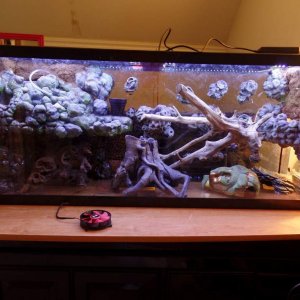 its very blue lighting.  I don't like it, and I don't think the plants will either...