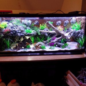 So then I decided to add some plastic plants i had kicking around.   I Just wanted to see what it was going to look like with some vegetation.  Above 