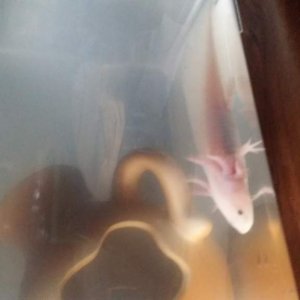20150427 151246