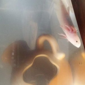 20150427 151236