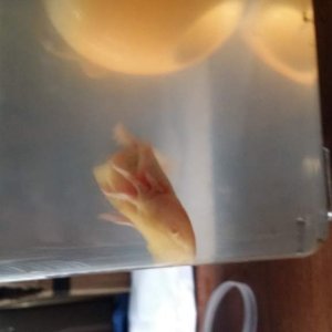20150427 151229