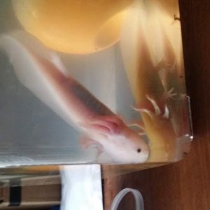 20150427 151218