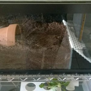 Split tank