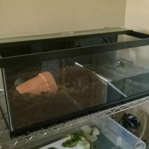 Split tank.