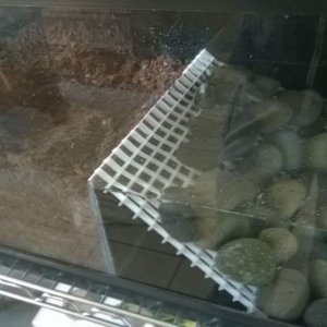 Split tank.