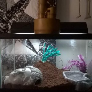 What his new home looks like.