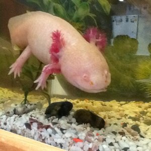 More relaxed times. Before I understood the issues with gravel.