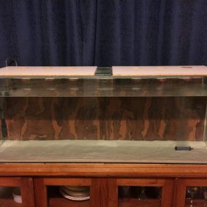 Custom made veneer river wood background. Exterior.