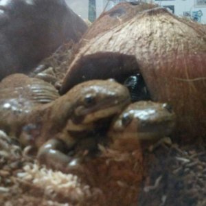 Awwww <3