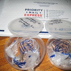 Shipping newt eggs using small breather bags. The bags contain a small amount of water, no air. Breather bags allow air to transpire. The deli cups ha
