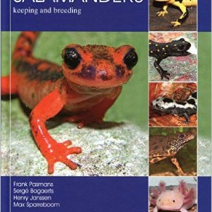 "Salamanders keeping and breeding" by Frank Pasmans, Serge Bogaerts, Henry Janseen, and Max Sparreboom (2014)