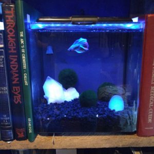 Jabba's next door neighbor, my still unnamed beta