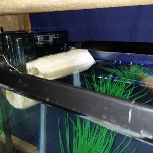 filter baffle aquarium