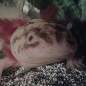 Close up