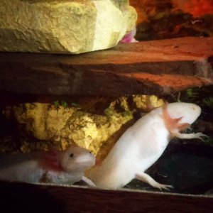 IMG 20151108 092715