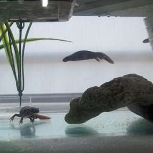 IMG 9655