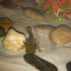 IMG 20160413 101553