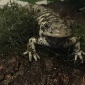 what you looking at?