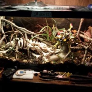 tank1
