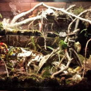 tank2