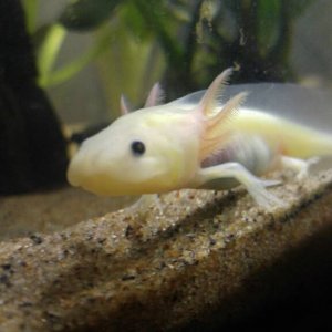 Nammu- 5 mths