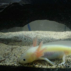 Nammu- 5 mths