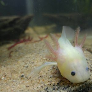 Nammu- 5 mths