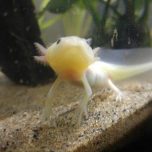 Nammu- 5 mths