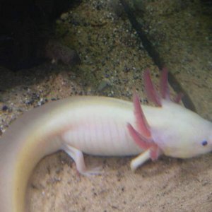 Nammu at 10.5 mths