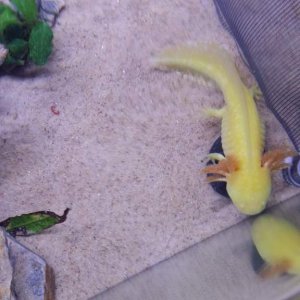 20160706 233923
